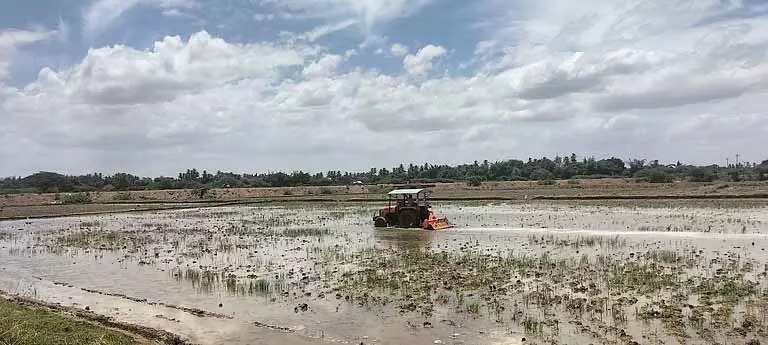 TIRUCHY: डेल्टा क्षेत्र में 125 करोड़ रुपये की लागत से गाद निकालने का काम शुरू TIRUCHY: डेल्टा क्षेत्र में 125 करोड़ रुपये की लागत से गाद निकालने का काम शुरू