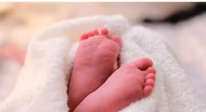 Hospital ने नवजात का शव प्लास्टिक में छोड़ा, परिवार को सौंपा Hospital ने नवजात का शव प्लास्टिक में छोड़ा, परिवार को सौंपा