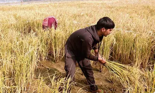 Rohtak प्रशासन प्रगतिशील किसानों को ब्रांड एंबेसडर नियुक्त करेगा