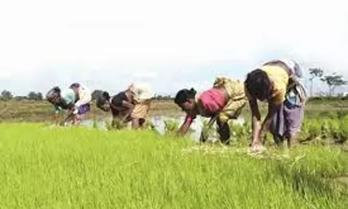 Farrukhabad: किसानों को लुभाने के लिए शीतगृह ऋण और बारदाना योजना लागू Farrukhabad: किसानों को लुभाने के लिए शीतगृह ऋण और बारदाना योजना लागू