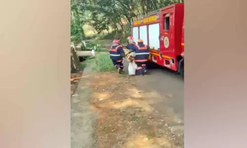 Kerala : कटनेल में चाकू से किए गए हमले में 10 लोग घायल Kerala : कटनेल में चाकू से किए गए हमले में 10 लोग घायल