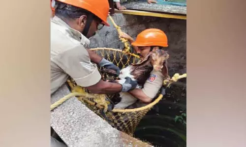 Kerala : एक बकरी जो कुएँ में गिर गया था, उसे बचा लिया गया Kerala : एक बकरी जो कुएँ में गिर गया था, उसे बचा लिया गया
