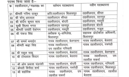 कलेक्टर ने तहसीलदार और नायब तहसीलदारों का किया ट्रांसफर
