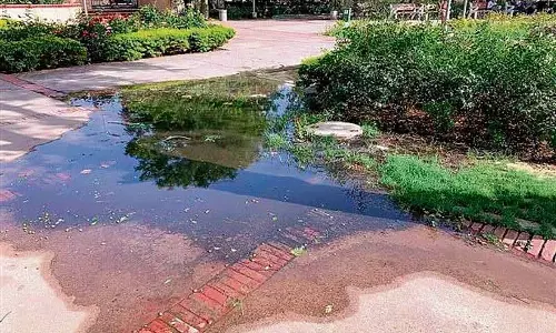 Amritsar: इम्प्रूवमेंट ट्रस्ट पार्कों में हरियाली बहाल करेगा