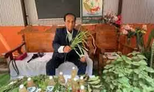 Retired अधिकारी ने पारंपरिक ‘चेंगही’ शैम्पू को बनाया सफल बिज़नेस
