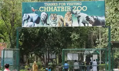 Zirakpur: छतबीड़ चिड़ियाघर में नई गाइडलाइन लागू Zirakpur: छतबीड़ चिड़ियाघर में नई गाइडलाइन लागू