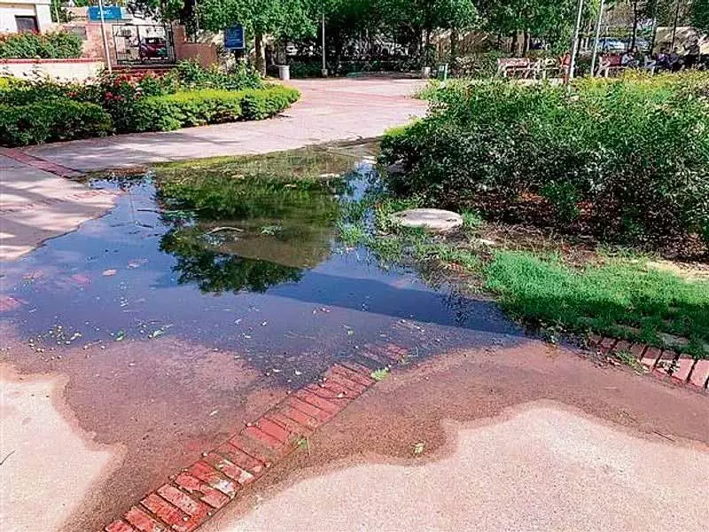 Amritsar: इम्प्रूवमेंट ट्रस्ट पार्कों में हरियाली बहाल करेगा Amritsar: इम्प्रूवमेंट ट्रस्ट पार्कों में हरियाली बहाल करेगा