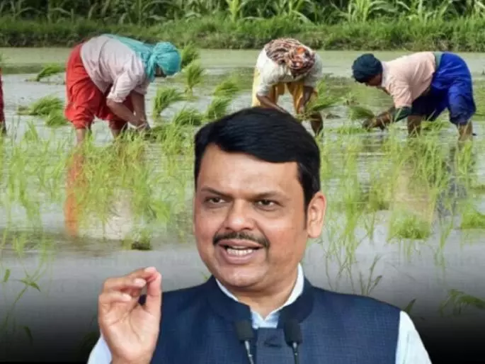 Loan माफ़ी प्लान शुरू, एलिजिबिलिटी नियम साफ़ नहीं Loan माफ़ी प्लान शुरू, एलिजिबिलिटी नियम साफ़ नहीं