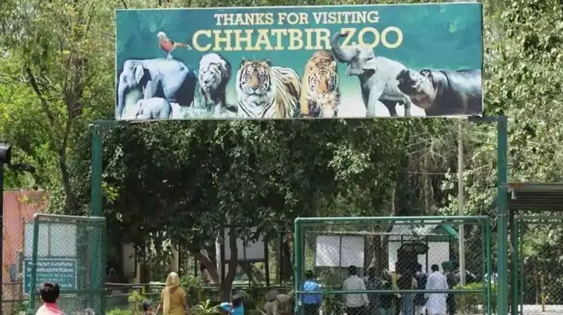 Zirakpur: छतबीड़ चिड़ियाघर में नई गाइडलाइन लागू Zirakpur: छतबीड़ चिड़ियाघर में नई गाइडलाइन लागू