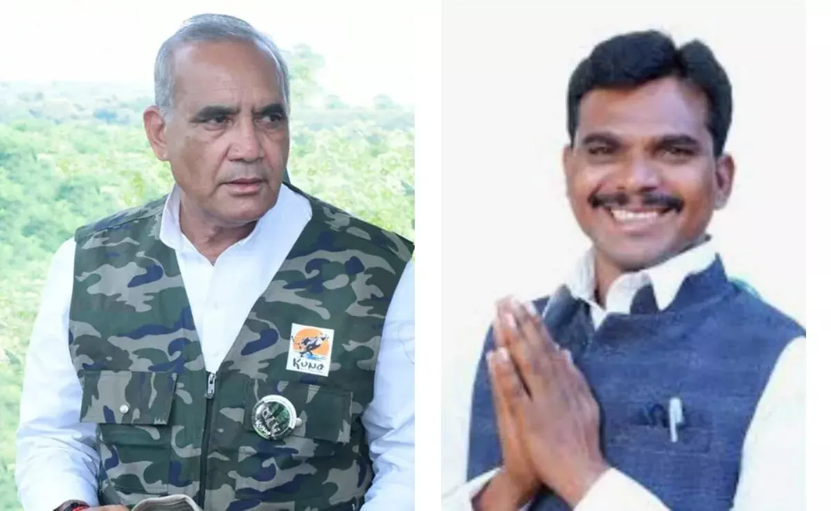 Gwalior: मुकेश मल्होत्रा की सदस्यता रद्द, बीजेपी को मिला नया विधायक Gwalior: मुकेश मल्होत्रा की सदस्यता रद्द, बीजेपी को मिला नया विधायक
