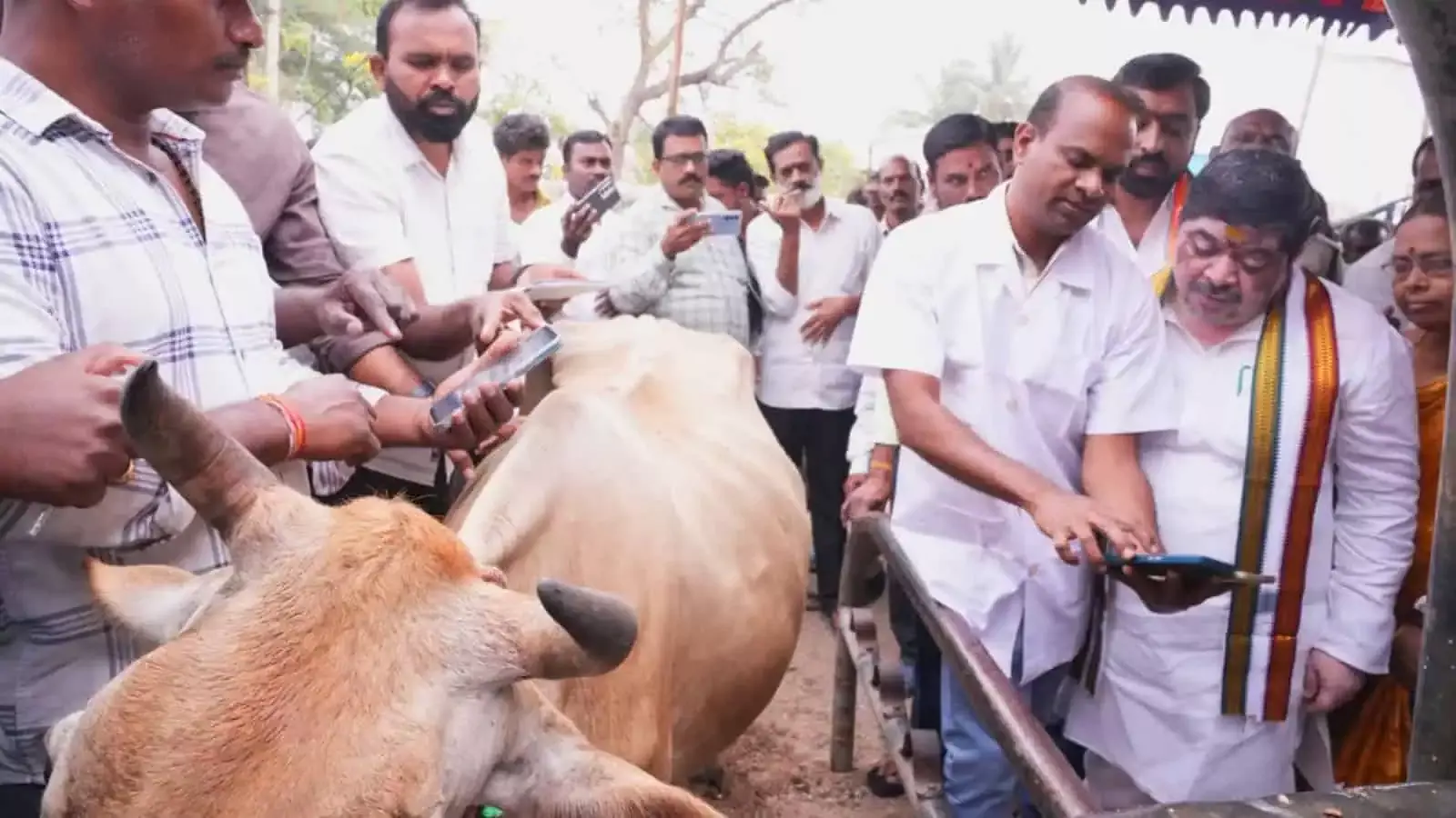 Telangana: पोन्नम प्रभाकर ने राज्य भर में मवेशियों के टीकाकरण अभियान की शुरुआत Telangana: पोन्नम प्रभाकर ने राज्य भर में मवेशियों के टीकाकरण अभियान की शुरुआत