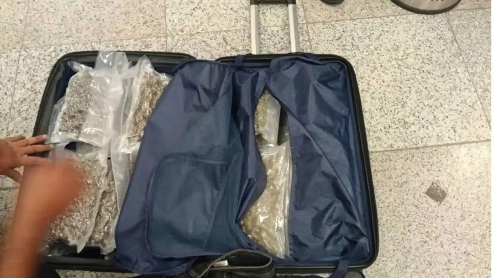 Hyderabad airport पर वियतनाम से आए दो यात्री गांजा की तस्करी करते पकड़े गए Hyderabad airport पर वियतनाम से आए दो यात्री गांजा की तस्करी करते पकड़े गए