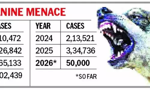 Punjab में 2025 तक कुत्तों के काटने के 3.34 लाख मामले, इस साल 50,000 से ज़्यादा मामले सामने आए Punjab में 2025 तक कुत्तों के काटने के 3.34 लाख मामले, इस साल 50,000 से ज़्यादा मामले सामने आए