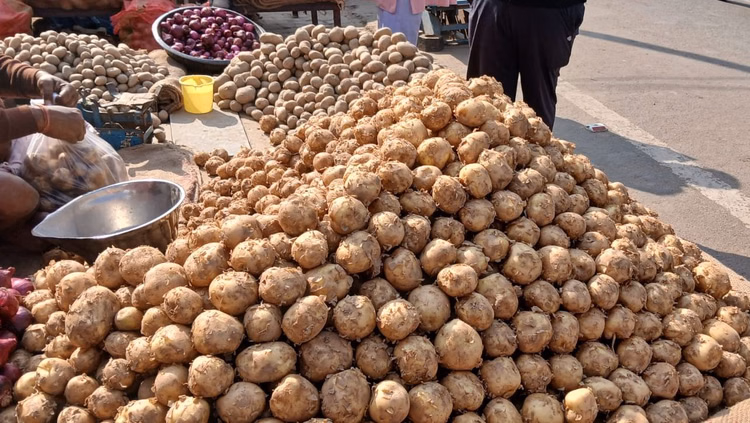 Agra: आलू की MSP दर तय, किसानों से ₹1500 प्रति क्विंटल खरीदी