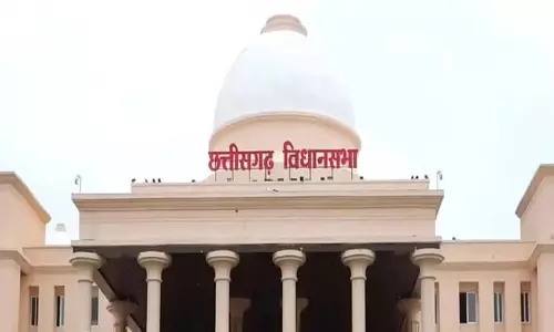 छत्तीसगढ़ में 9 बाघ और 38 हाथियों की 3 साल के भीतर मौत छत्तीसगढ़ में 9 बाघ और 38 हाथियों की 3 साल के भीतर मौत