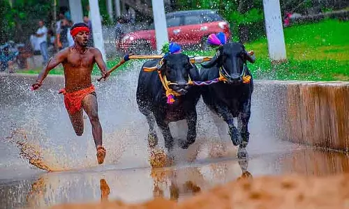 Kambala : तटीय क्षेत्र के पढ़े-लिखे युवाओं के लिए लोकप्रियता और कमाई का ज़रिया Kambala : तटीय क्षेत्र के पढ़े-लिखे युवाओं के लिए लोकप्रियता और कमाई का ज़रिया