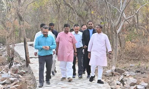 वनमंत्री केदार कश्यप ने ठेमली आईलैंड का किया निरीक्षण वनमंत्री केदार कश्यप ने ठेमली आईलैंड का किया निरीक्षण