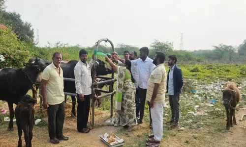 Velugupalli Sarpanch ने कहा, पशुपालकों को जानवरों का टीकाकरण अवश्य करवाना चाहिए Velugupalli Sarpanch ने कहा, पशुपालकों को जानवरों का टीकाकरण अवश्य करवाना चाहिए