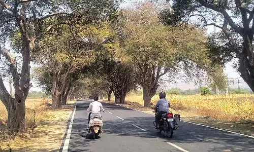 Karnataka : सड़क किनारे के पेड़ों को हटाने की तैयारी Karnataka : सड़क किनारे के पेड़ों को हटाने की तैयारी