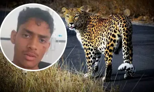 Himachal के युवक ने सोलन गांव में 12 मिनट की हिम्मत भरी लड़ाई के बाद तेंदुए को मार गिराया Himachal के युवक ने सोलन गांव में 12 मिनट की हिम्मत भरी लड़ाई के बाद तेंदुए को मार गिराया