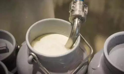 Milk में मिलावट पहचानने के लिए अवेयरनेस ड्राइव Milk में मिलावट पहचानने के लिए अवेयरनेस ड्राइव