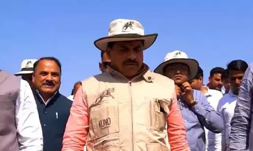 Nauradehi सैंक्चुअरी में दो महीने में आएंगे चीते Nauradehi सैंक्चुअरी में दो महीने में आएंगे चीते