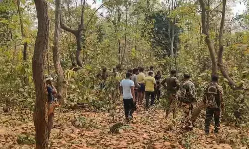 Odisha में विस्फोटक चारा खाने से मादा हाथी की मौत