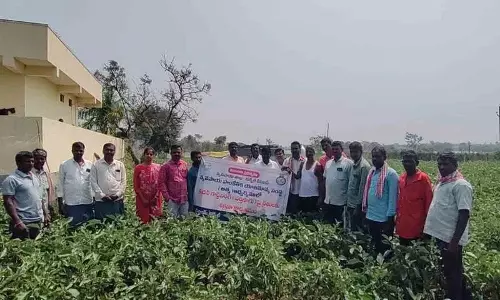 Rayapol के किसानों के लिए किचन गार्डनिंग का ट्रेनिंग प्रोग्राम आयोजित किया गया Rayapol के किसानों के लिए किचन गार्डनिंग का ट्रेनिंग प्रोग्राम आयोजित किया गया