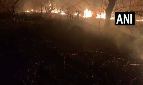 LIVE VIDEO: पहाड़ियों के जंगल में लगी आग, इलाके में चिंता LIVE VIDEO: पहाड़ियों के जंगल में लगी आग, इलाके में चिंता