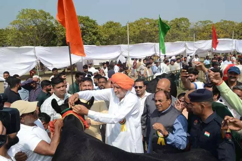Haryana कृषि मंत्री ने किसानों से खाद का इस्तेमाल कम करने की अपील की Haryana कृषि मंत्री ने किसानों से खाद का इस्तेमाल कम करने की अपील की