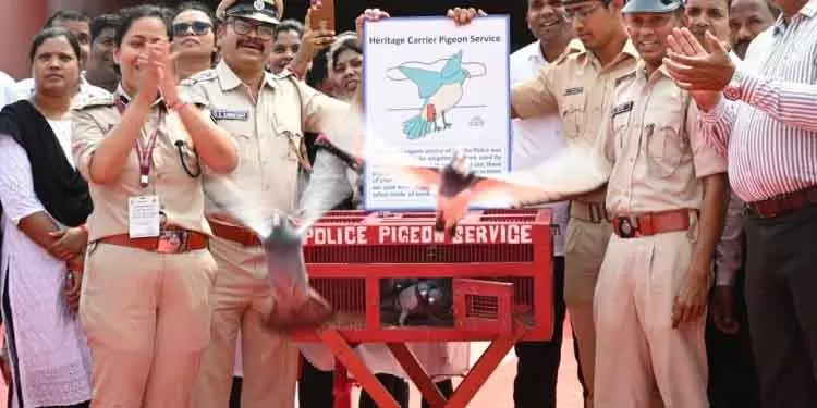 पंखों वाले दूतों की वापसी: Odisha पुलिस ने ऐतिहासिक कबूतर चौकी फिर से शुरू की पंखों वाले दूतों की वापसी: Odisha पुलिस ने ऐतिहासिक कबूतर चौकी फिर से शुरू की