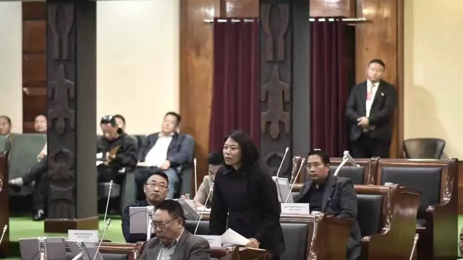 Nagaland में 48,655 एंटरप्राइज़ रजिस्टर्ड, छोटे व्यवसायों को क्रेडिट की कमी Nagaland में 48,655 एंटरप्राइज़ रजिस्टर्ड, छोटे व्यवसायों को क्रेडिट की कमी