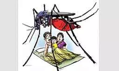Tamil Nadu : मच्छरों को रोकने के उपायों को तेज़ करने की मांग वाला मामला Tamil Nadu : मच्छरों को रोकने के उपायों को तेज़ करने की मांग वाला मामला