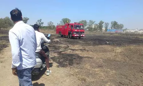 Indore : 20 दिन में दूसरी बार जंगल में लगी आग से पौधे नष्ट Indore : 20 दिन में दूसरी बार जंगल में लगी आग से पौधे नष्ट