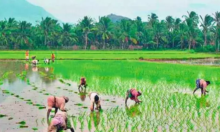 Telangana में 61,125 किसानों ने नेचुरल फार्मिंग स्कीम के लिए रजिस्टर किया Telangana में 61,125 किसानों ने नेचुरल फार्मिंग स्कीम के लिए रजिस्टर किया