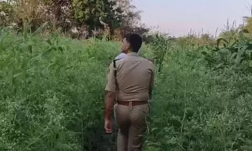 पुलिस टीम सभी फॉर्म-हाउस में देगी दबिश
