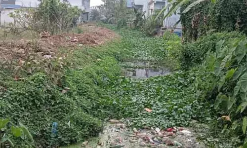 Paralakhemundi अतिक्रमित नहर गजपति के किसानों को भारी नुकसान Paralakhemundi अतिक्रमित नहर गजपति के किसानों को भारी नुकसान