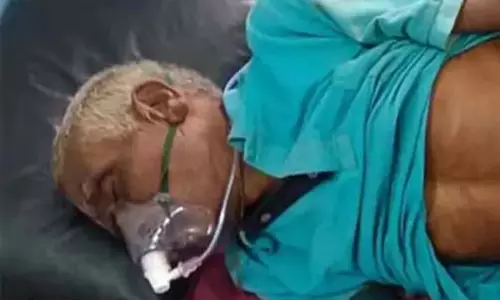 हाथी ने सुंड से पटका, बुजुर्ग घायल