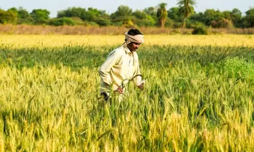 किसानों को पीएम किसान की 22वीं किस्त में 1,028 करोड़ रुपए से ज्यादा मिलेंगे किसानों को पीएम किसान की 22वीं किस्त में 1,028 करोड़ रुपए से ज्यादा मिलेंगे
