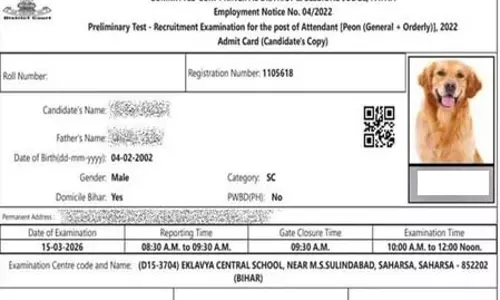 भर्ती परीक्षा में अजीबोगरीब गलती: उम्मीदवार के एडमिट कार्ड पर कुत्ते की तस्वीर भर्ती परीक्षा में अजीबोगरीब गलती: उम्मीदवार के एडमिट कार्ड पर कुत्ते की तस्वीर