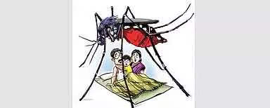 Tamil Nadu : मच्छरों को रोकने के उपायों को तेज़ करने की मांग वाला मामला Tamil Nadu : मच्छरों को रोकने के उपायों को तेज़ करने की मांग वाला मामला