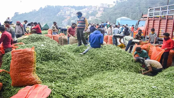 Jabalpur: किसानों और खाद्य प्रेमियों के लिए जबलपुर में तीन दिवसीय कृषि मेला आज से Jabalpur: किसानों और खाद्य प्रेमियों के लिए जबलपुर में तीन दिवसीय कृषि मेला आज से