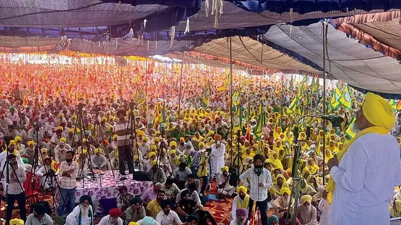 India-US डील से कृषि क्षेत्र को बाहर रखने की मांग, पंजाब के किसानों से की गई मांग India-US डील से कृषि क्षेत्र को बाहर रखने की मांग, पंजाब के किसानों से की गई मांग