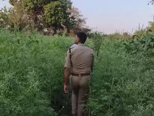 पुलिस टीम सभी फॉर्म-हाउस में देगी दबिश पुलिस टीम सभी फॉर्म-हाउस में देगी दबिश