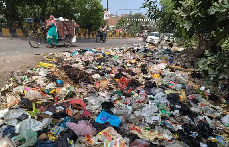 खराब वेस्ट मैनेजमेंट से फगवाड़ा की इमेज खराब हुई: Shiv Sena leader खराब वेस्ट मैनेजमेंट से फगवाड़ा की इमेज खराब हुई: Shiv Sena leader
