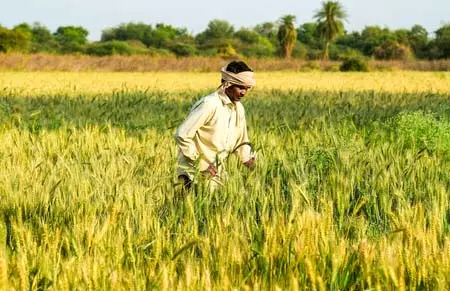 किसानों को पीएम किसान की 22वीं किस्त में 1,028 करोड़ रुपए से ज्यादा मिलेंगे किसानों को पीएम किसान की 22वीं किस्त में 1,028 करोड़ रुपए से ज्यादा मिलेंगे
