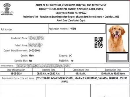 भर्ती परीक्षा में अजीबोगरीब गलती: उम्मीदवार के एडमिट कार्ड पर कुत्ते की तस्वीर भर्ती परीक्षा में अजीबोगरीब गलती: उम्मीदवार के एडमिट कार्ड पर कुत्ते की तस्वीर