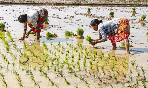 7.72 करोड़ किसानों के क्रेडिट कार्ड पर 10.2 लाख करोड़ रुपये बकाया 7.72 करोड़ किसानों के क्रेडिट कार्ड पर 10.2 लाख करोड़ रुपये बकाया
