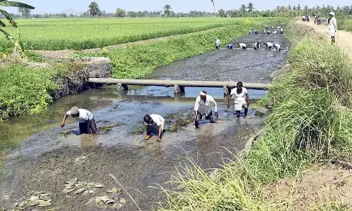 130 Farmers ने नहर की गाद साफ की: पानी निकालने के लिए श्रमदान किया 130 Farmers ने नहर की गाद साफ की: पानी निकालने के लिए श्रमदान किया