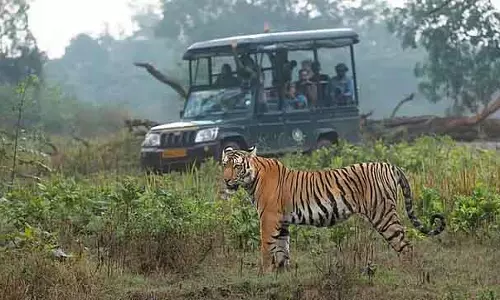 Bandipur-नागरहोल में सफारी रोकी गई: वाइल्डलाइफ़ सैंक्चुअरी को रेवेन्यू में छह करोड़ का नुकसान Bandipur-नागरहोल में सफारी रोकी गई: वाइल्डलाइफ़ सैंक्चुअरी को रेवेन्यू में छह करोड़ का नुकसान